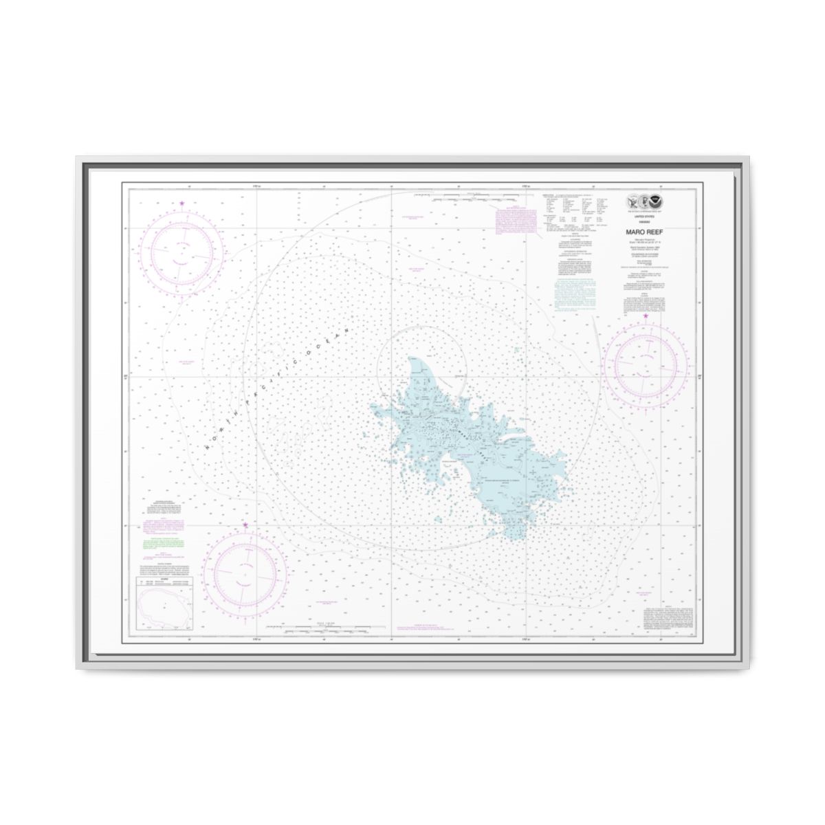 Chart 19441 Maro Reef - NOAA Nautical Chart Floating Frame Canvas | 32" x 24" | 40" x 30" - White front