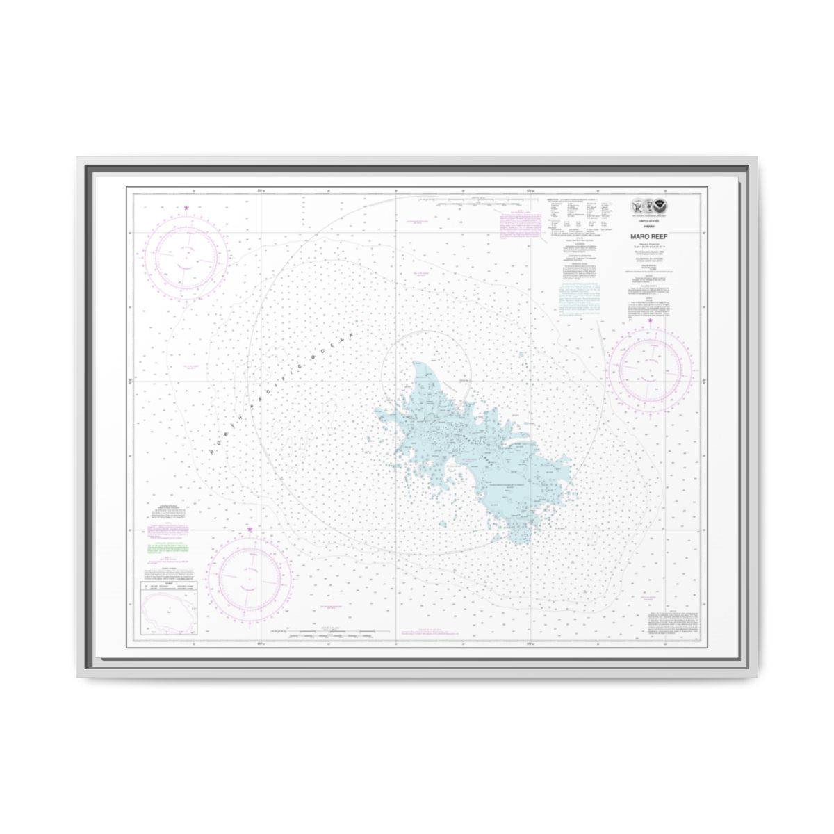 Chart 19441 Maro Reef - NOAA Nautical Chart Floating Frame Canvas | 32" x 24" | 40" x 30" - White front