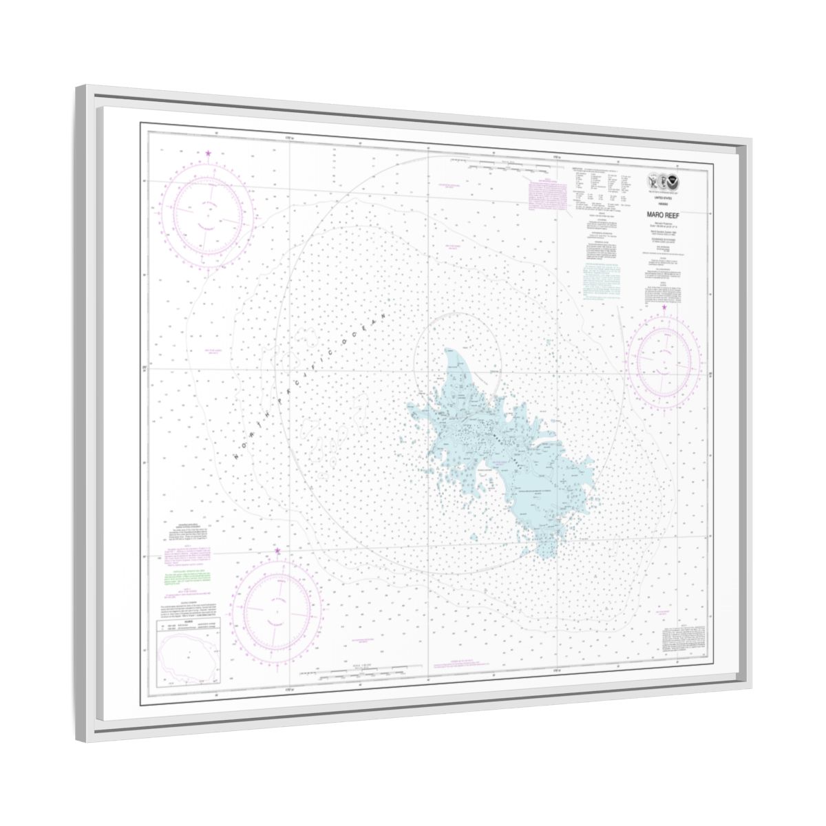 Chart 19441 Maro Reef - NOAA Nautical Chart Floating Frame Canvas | 32" x 24" | 40" x 30" - White side