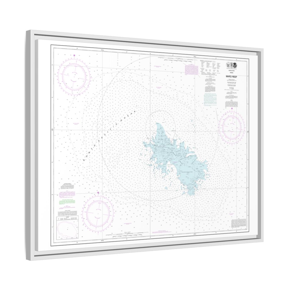 Chart 19441 Maro Reef - NOAA Nautical Chart Floating Frame Canvas | 32" x 24" | 40" x 30" - White side
