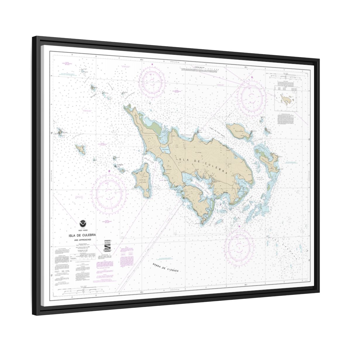 Chart 25653 Isla de Culebra and Approaches - NOAA Nautical Chart Floating Frame Canvas | 32" x 24" | 40" x 30" - Black side