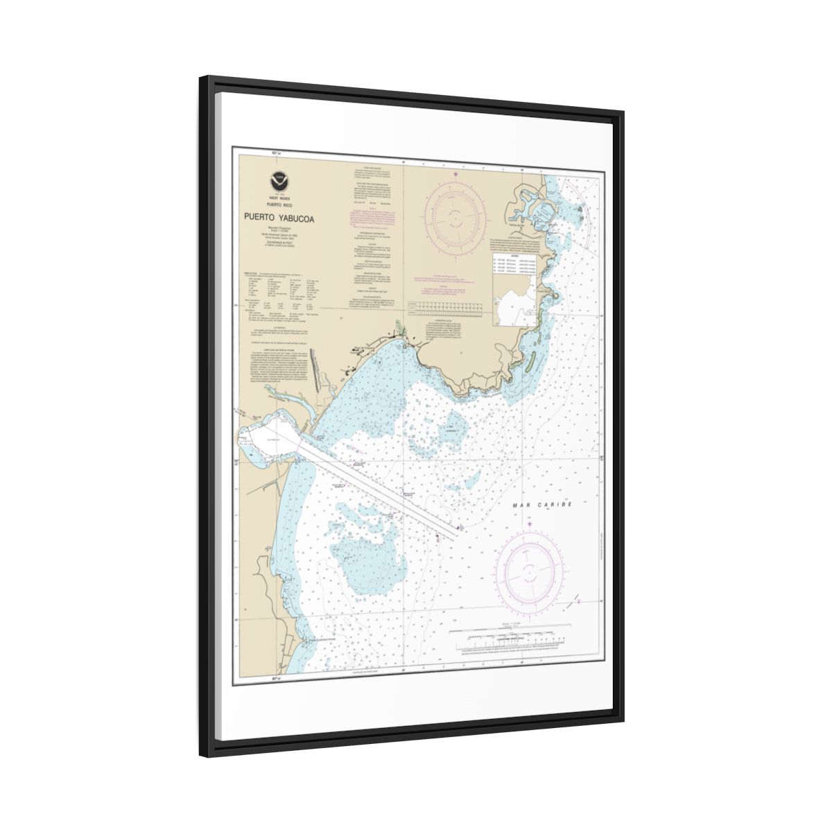 Chart 25661 Puerto Yabucoa - NOAA Nautical Chart Floating Frame Canvas | 24" x 32" | 30" x 40" - Black side