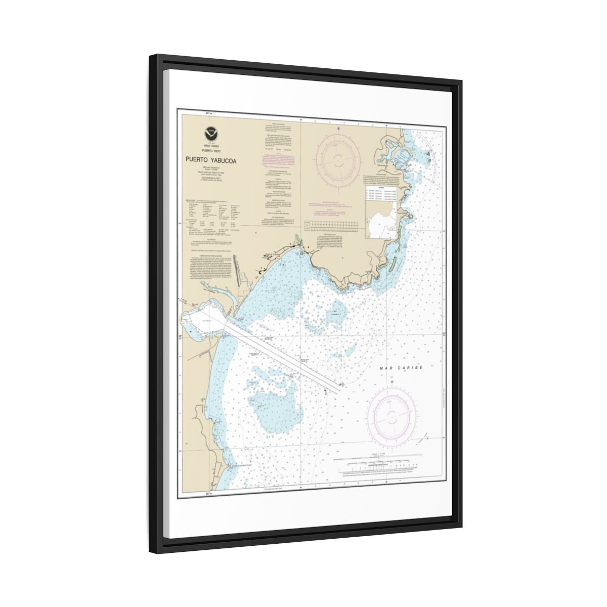 Chart 25661 Puerto Yabucoa - NOAA Nautical Chart Floating Frame Canvas | 24" x 32" | 30" x 40" - Black side