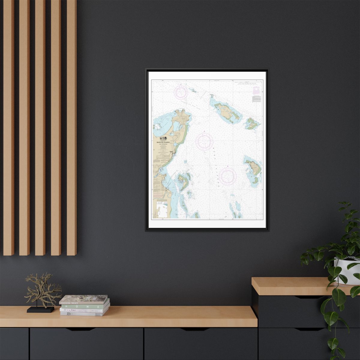 Chart 25667 Bahia de Fajardo and Approaches - NOAA Nautical Chart Floating Frame Canvas | 24" x 32" | 30" x 40" - Black context-2