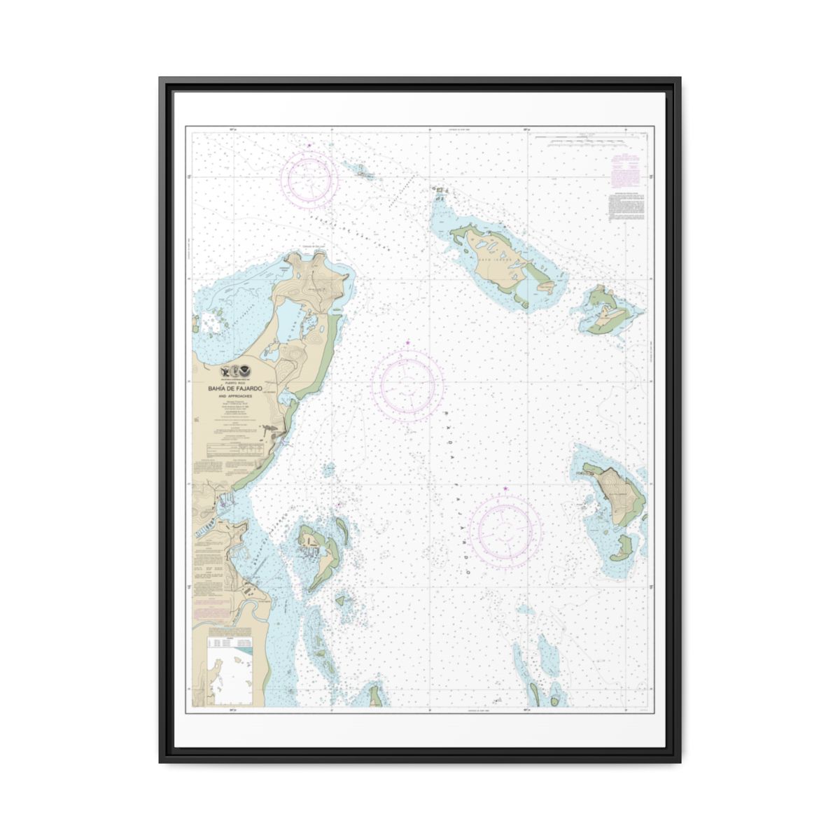 Chart 25667 Bahia de Fajardo and Approaches - NOAA Nautical Chart Floating Frame Canvas | 24" x 32" | 30" x 40" - Black front