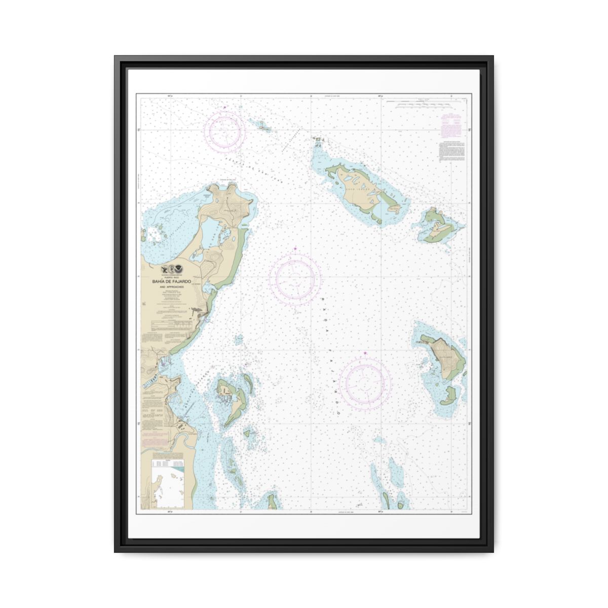 Chart 25667 Bahia de Fajardo and Approaches - NOAA Nautical Chart Floating Frame Canvas | 24" x 32" | 30" x 40" - Black front