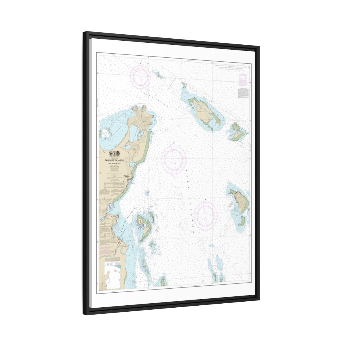 Chart 25667 Bahia de Fajardo and Approaches - NOAA Nautical Chart Floating Frame Canvas | 24" x 32" | 30" x 40" - Black side
