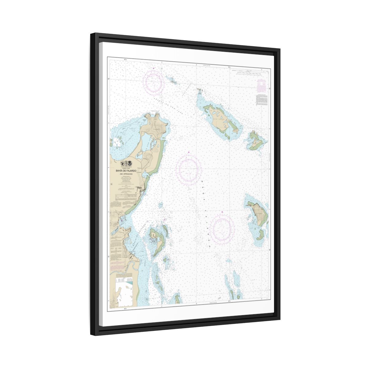 Chart 25667 Bahia de Fajardo and Approaches - NOAA Nautical Chart Floating Frame Canvas | 24" x 32" | 30" x 40" - Black side