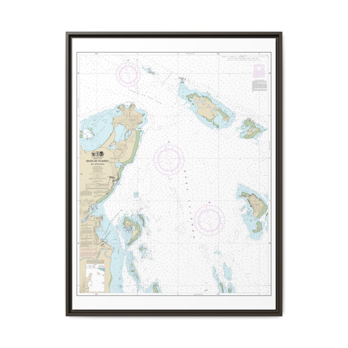 Chart 25667 Bahia de Fajardo and Approaches - NOAA Nautical Chart Floating Frame Canvas | 24" x 32" | 30" x 40" - Espresso front