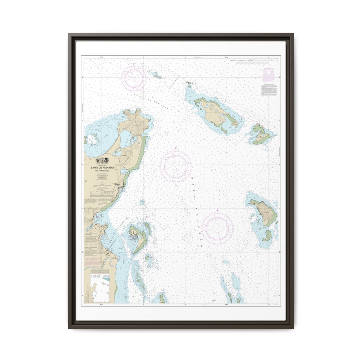 Chart 25667 Bahia de Fajardo and Approaches - NOAA Nautical Chart Floating Frame Canvas | 24" x 32" | 30" x 40" - Espresso front