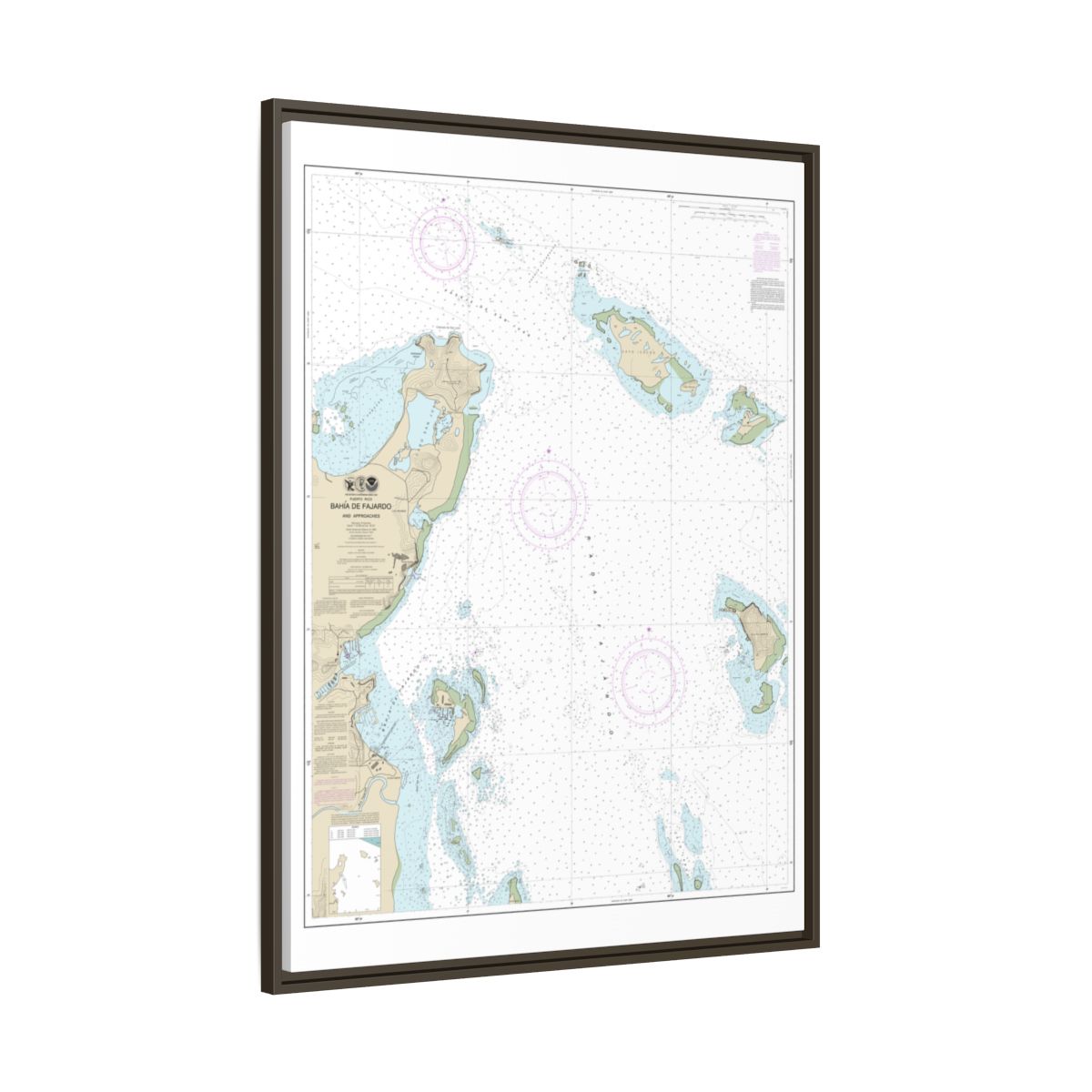 Chart 25667 Bahia de Fajardo and Approaches - NOAA Nautical Chart Floating Frame Canvas | 24" x 32" | 30" x 40" - Espresso side