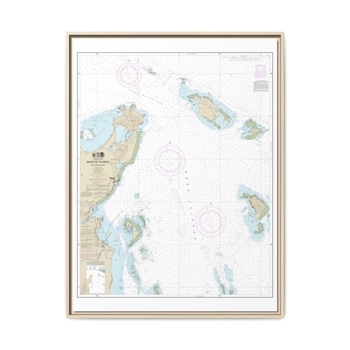 Chart 25667 Bahia de Fajardo and Approaches - NOAA Nautical Chart Floating Frame Canvas | 24" x 32" | 30" x 40" - Natural front