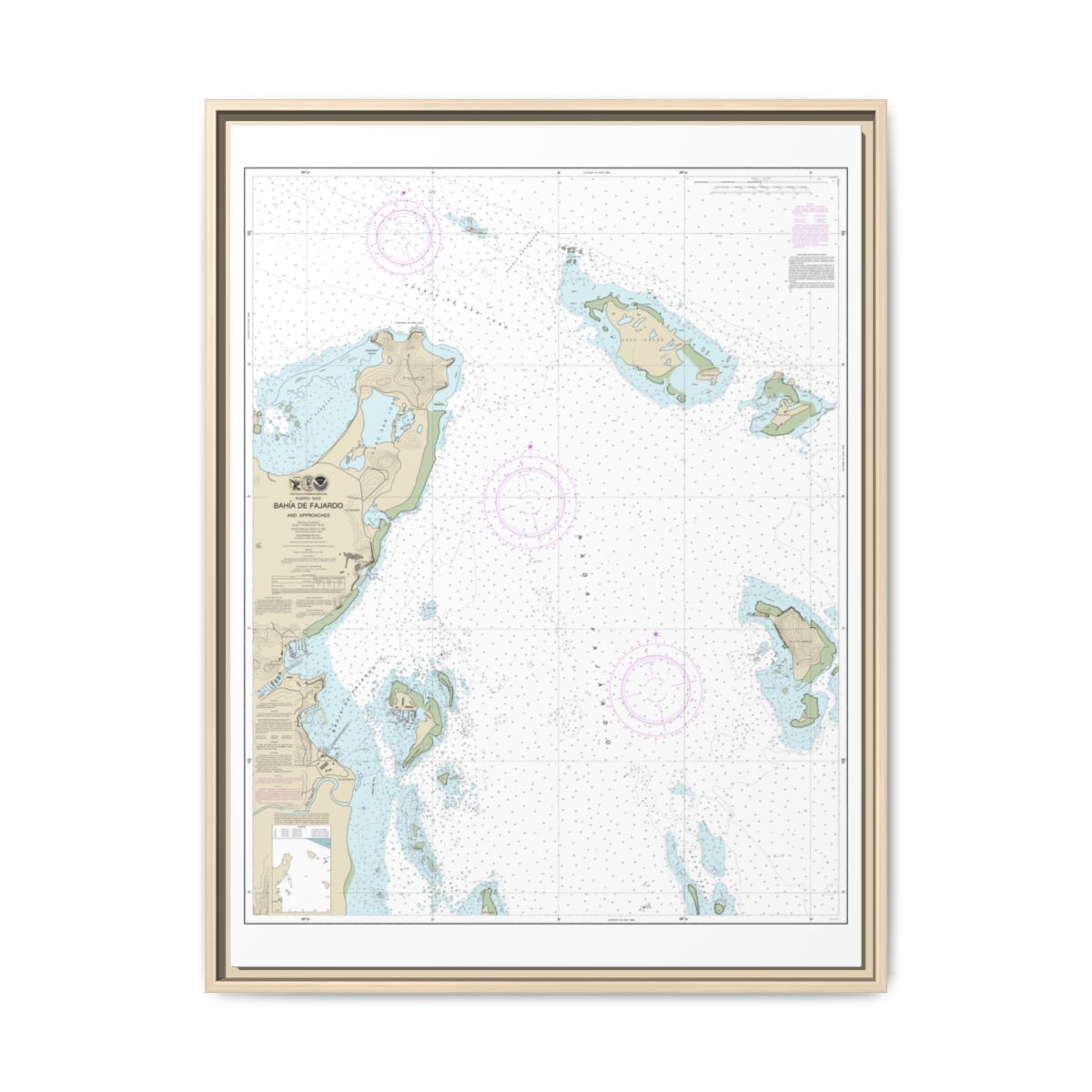 Chart 25667 Bahia de Fajardo and Approaches - NOAA Nautical Chart Floating Frame Canvas | 24" x 32" | 30" x 40" - Natural front