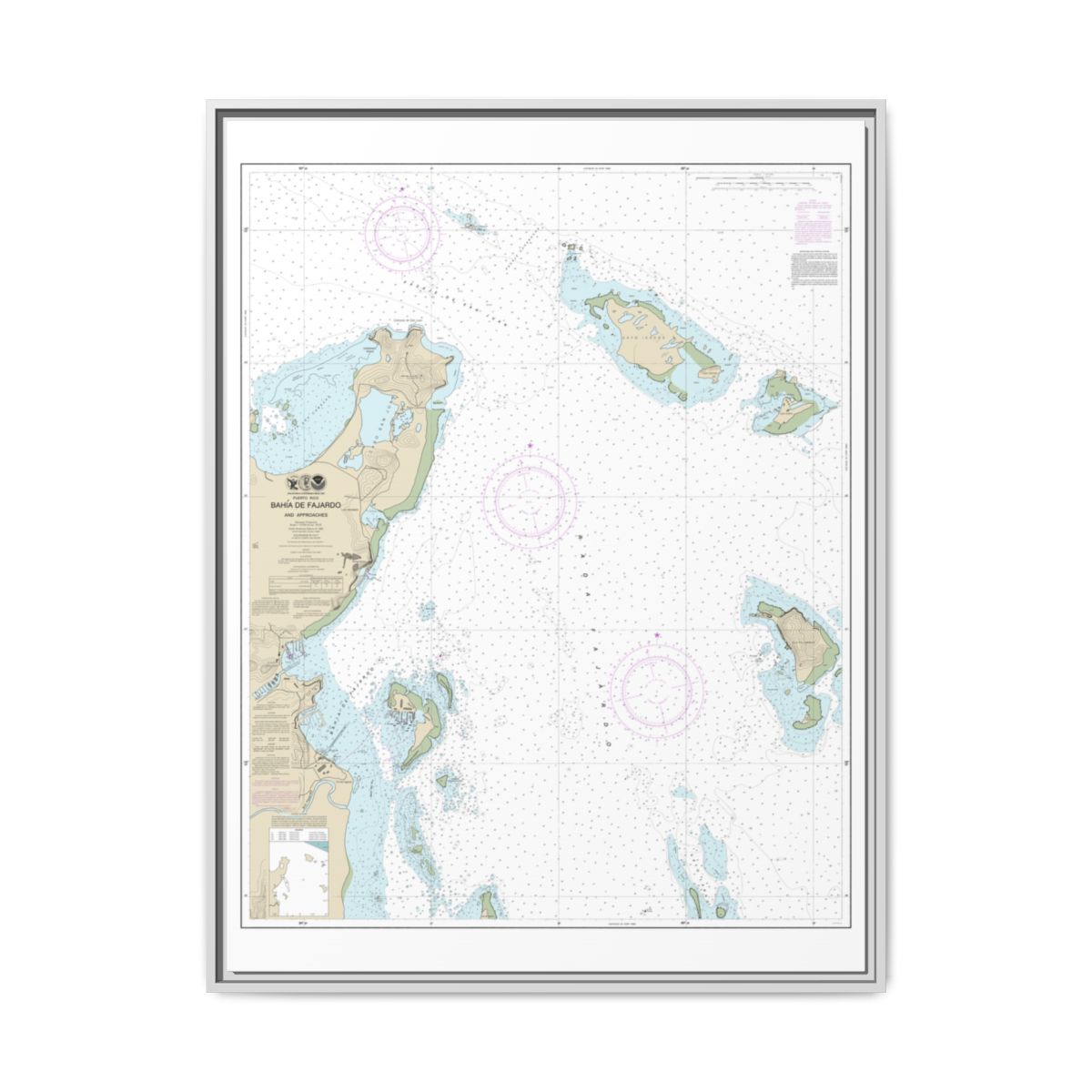 Chart 25667 Bahia de Fajardo and Approaches - NOAA Nautical Chart Floating Frame Canvas | 24" x 32" | 30" x 40" - White front