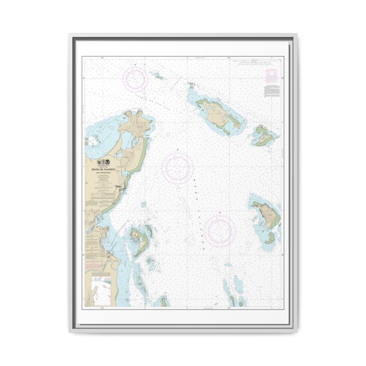 Chart 25667 Bahia de Fajardo and Approaches - NOAA Nautical Chart Floating Frame Canvas | 24" x 32" | 30" x 40" - White front