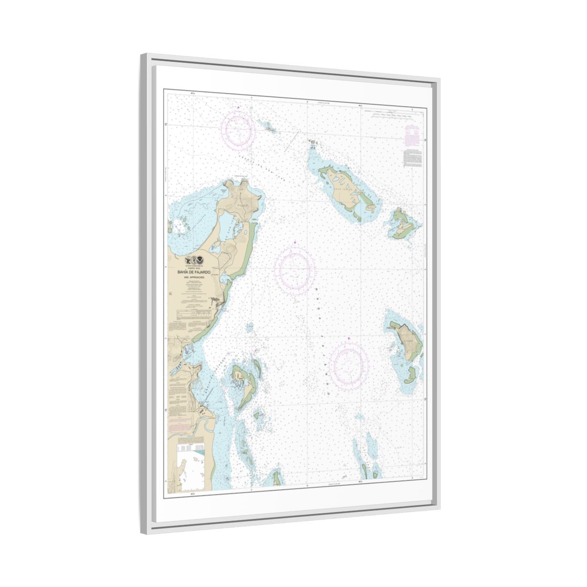 Chart 25667 Bahia de Fajardo and Approaches - NOAA Nautical Chart Floating Frame Canvas | 24" x 32" | 30" x 40" - White side