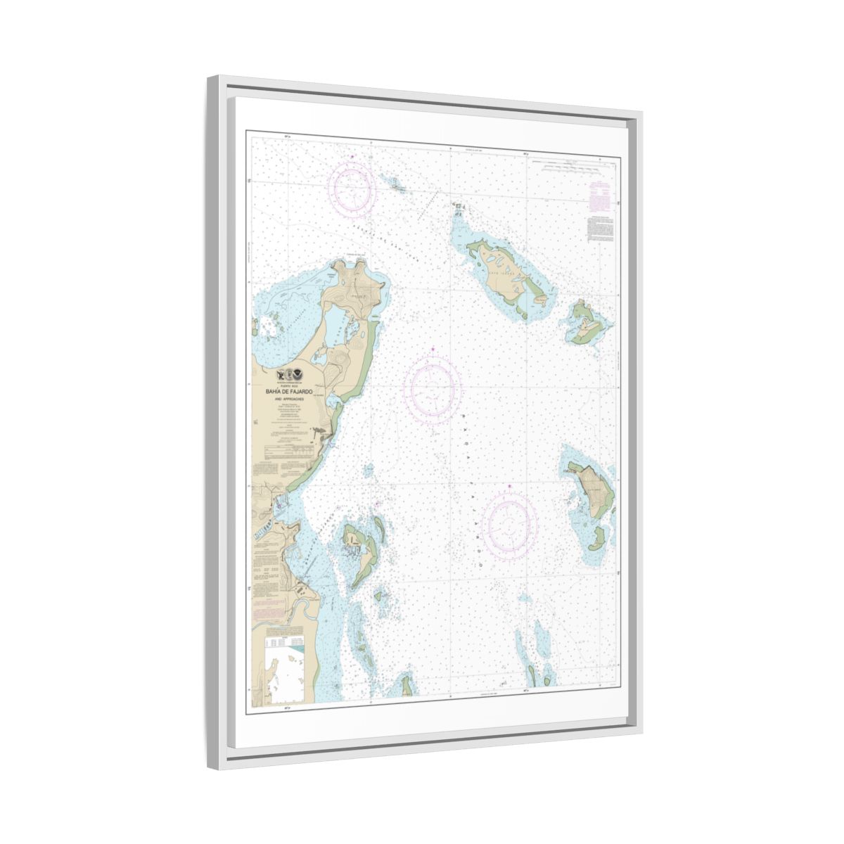 Chart 25667 Bahia de Fajardo and Approaches - NOAA Nautical Chart Floating Frame Canvas | 24" x 32" | 30" x 40" - White side