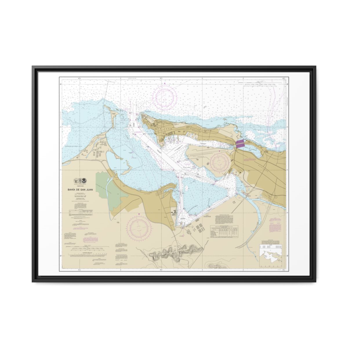 Chart 25670 Bahia de San Juan - NOAA Nautical Chart Floating Frame Canvas | 32" x 24" | 40" x 30" - Black front