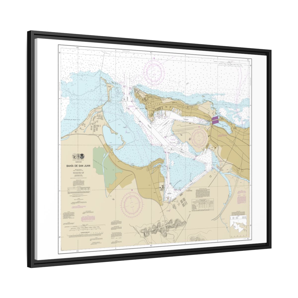 Chart 25670 Bahia de San Juan - NOAA Nautical Chart Floating Frame Canvas | 32" x 24" | 40" x 30" - Black side