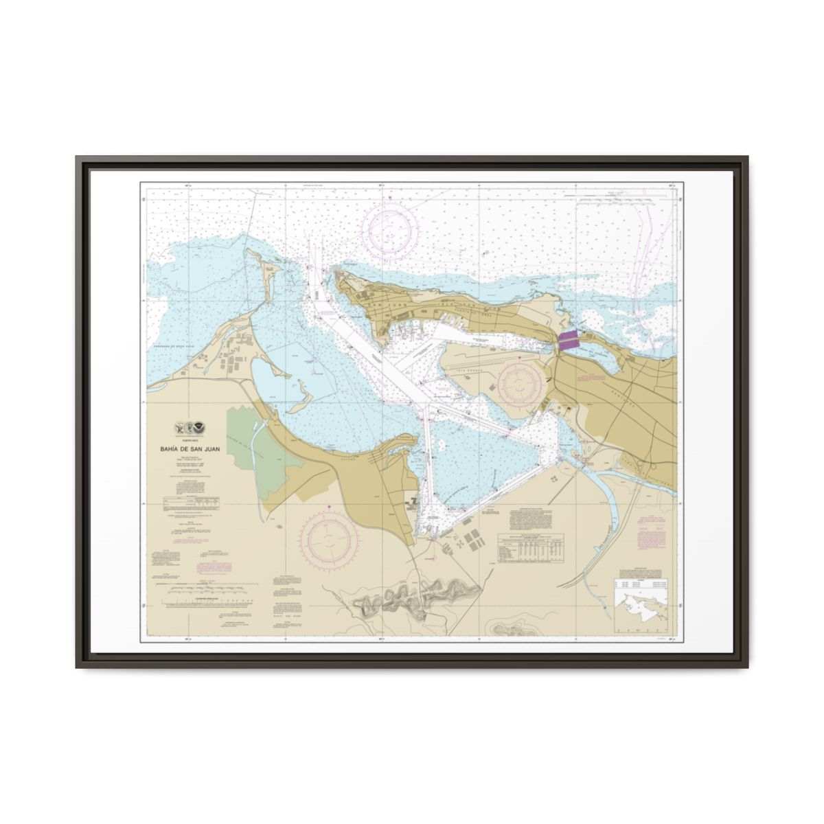 Chart 25670 Bahia de San Juan - NOAA Nautical Chart Floating Frame Canvas | 32" x 24" | 40" x 30" - Espresso front