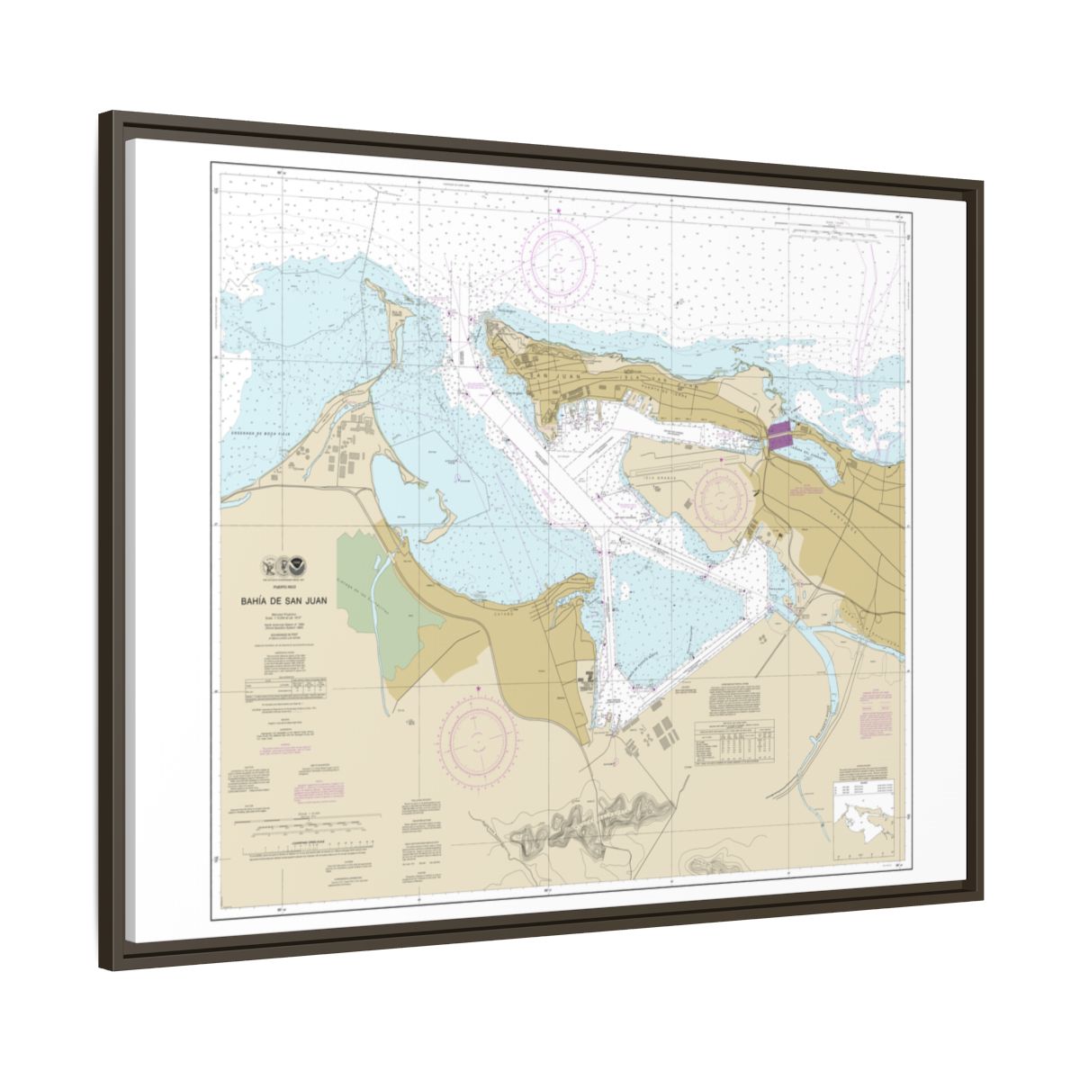 Chart 25670 Bahia de San Juan - NOAA Nautical Chart Floating Frame Canvas | 32" x 24" | 40" x 30" - Espresso side