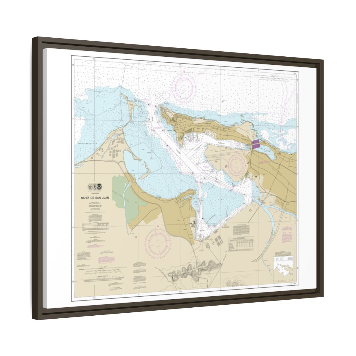 Chart 25670 Bahia de San Juan - NOAA Nautical Chart Floating Frame Canvas | 32" x 24" | 40" x 30" - Espresso side