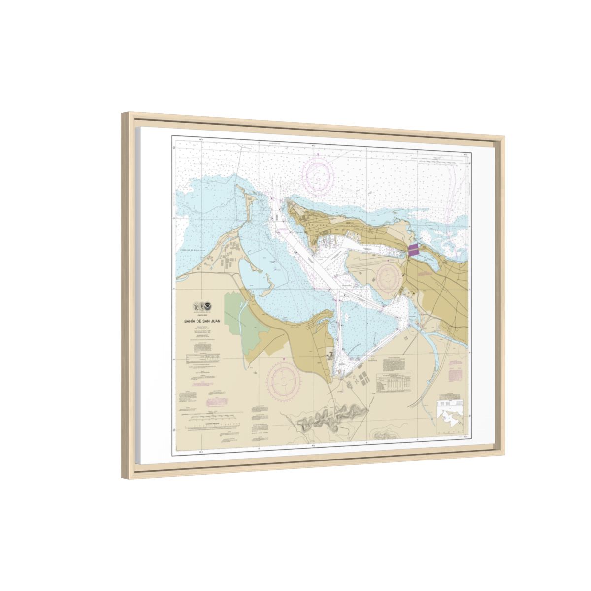 Chart 25670 Bahia de San Juan - NOAA Nautical Chart Floating Frame Canvas | 32" x 24" | 40" x 30" - Natural side