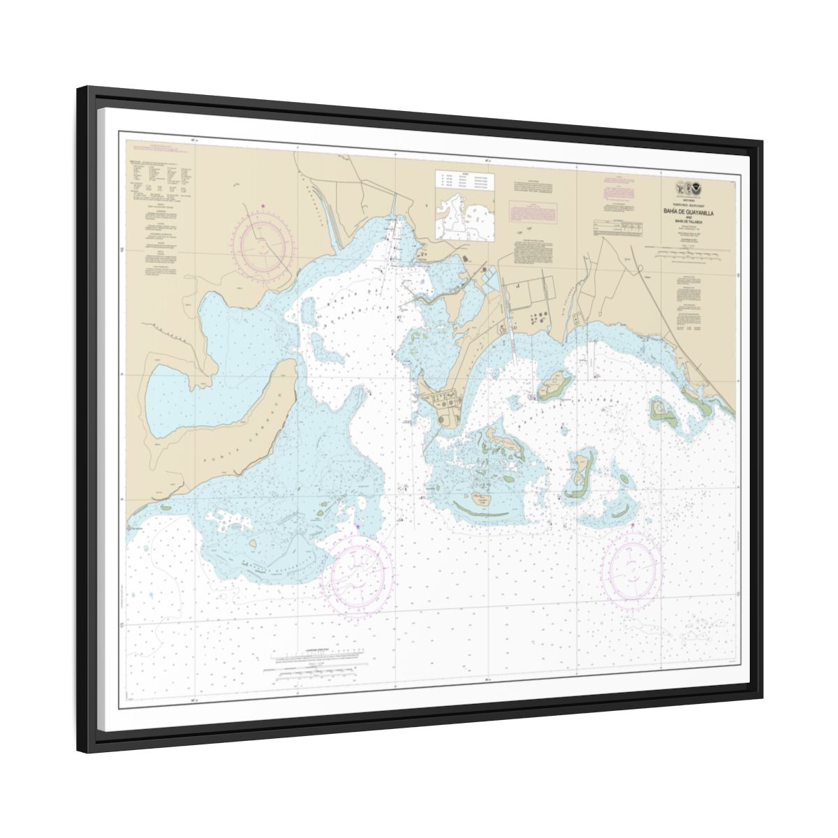 Chart 25681 Bahia de Guayanilla and Bahia de Tallaboa - NOAA Nautical Chart Floating Frame Canvas | 32" x 24" | 40" x 30" - Black side