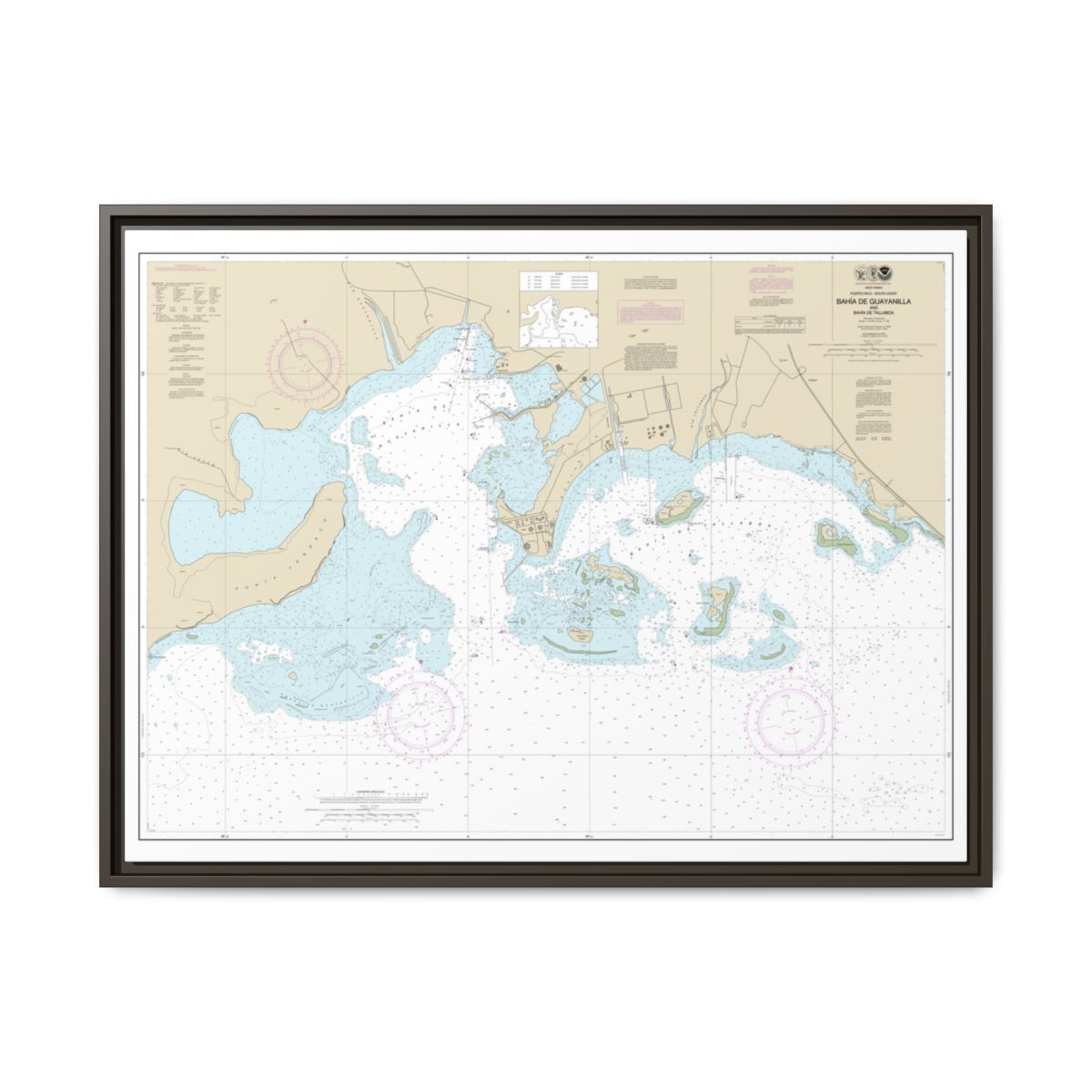 Chart 25681 Bahia de Guayanilla and Bahia de Tallaboa - NOAA Nautical Chart Floating Frame Canvas | 32" x 24" | 40" x 30" - Espresso front