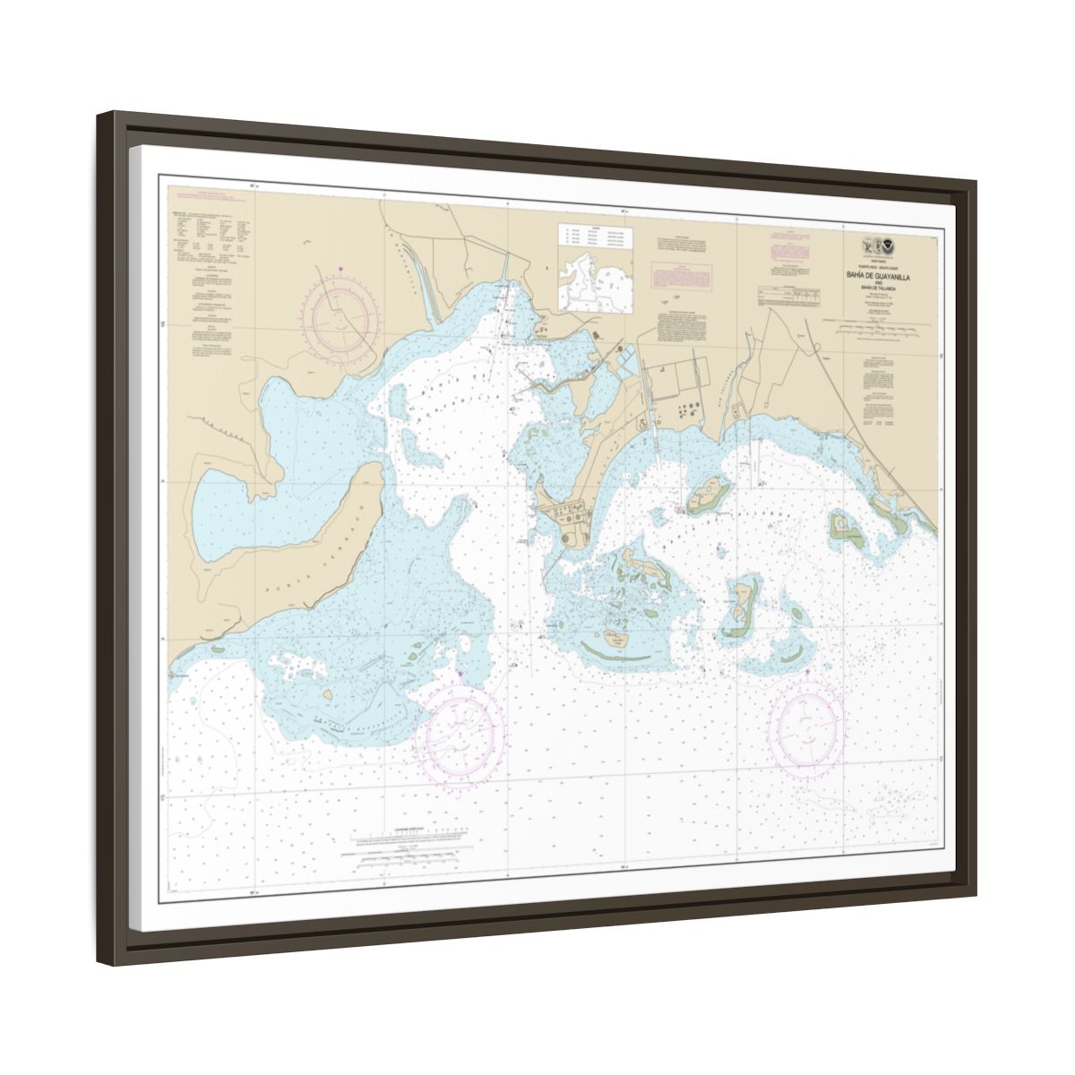 Chart 25681 Bahia de Guayanilla and Bahia de Tallaboa - NOAA Nautical Chart Floating Frame Canvas | 32" x 24" | 40" x 30" - Espresso side