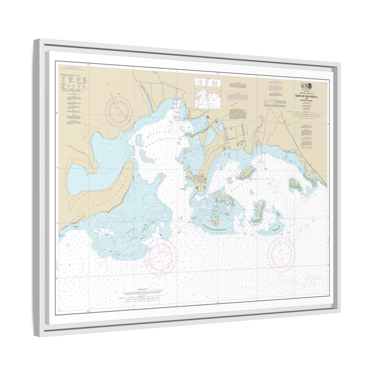 Chart 25681 Bahia de Guayanilla and Bahia de Tallaboa - NOAA Nautical Chart Floating Frame Canvas | 32" x 24" | 40" x 30" - White side