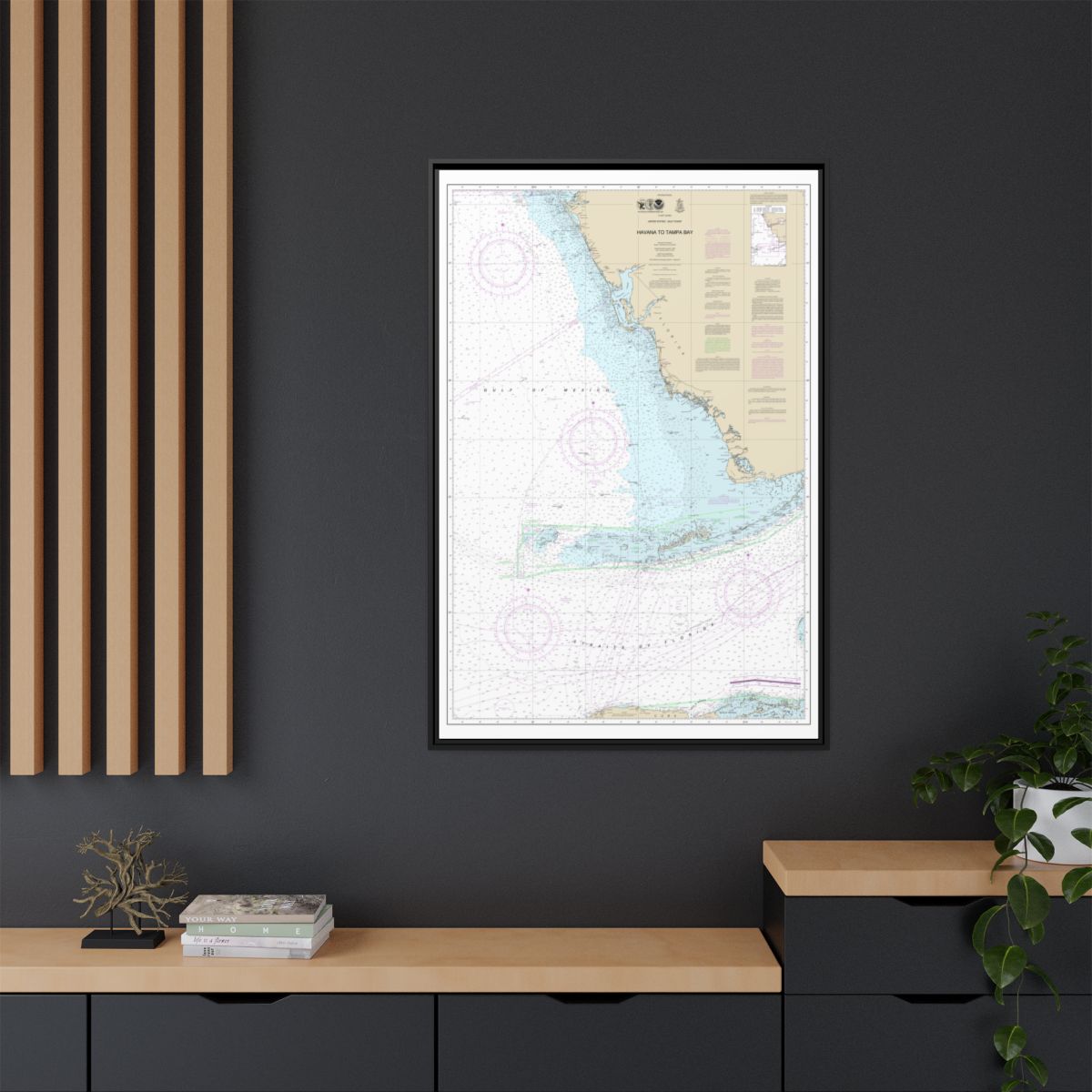 Chart 4148 Havana to Tampa Bay - NOAA Nautical Chart Floating Frame Canvas | 20" x 30" | 24" x 36" | 32" x 48" - Black context-2
