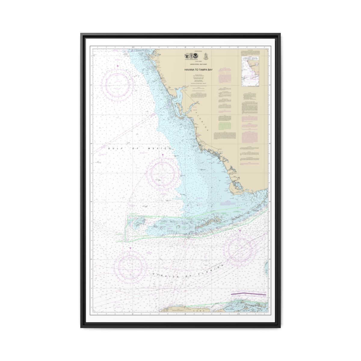 Chart 4148 Havana to Tampa Bay - NOAA Nautical Chart Floating Frame Canvas | 20" x 30" | 24" x 36" | 32" x 48" - Black front
