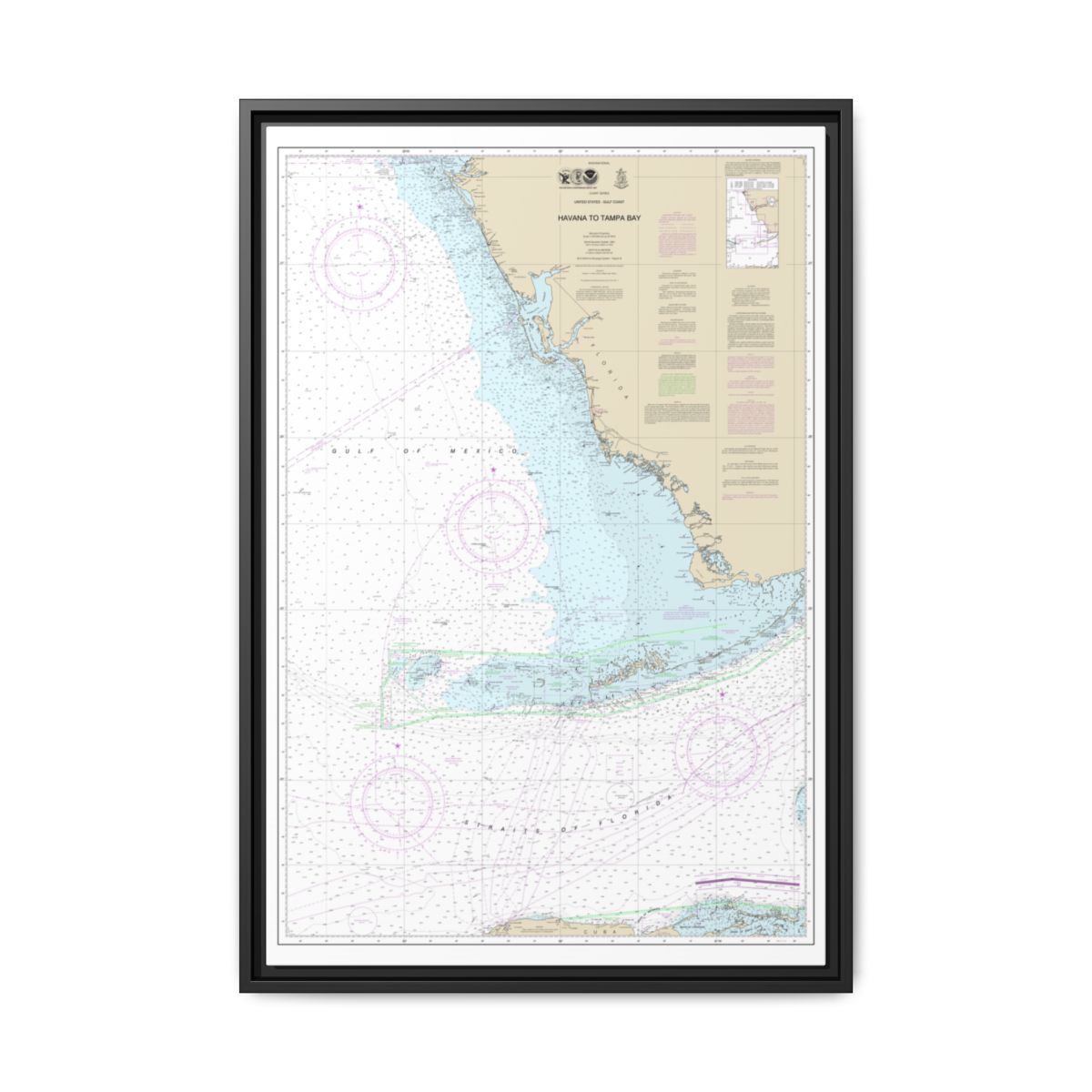 Chart 4148 Havana to Tampa Bay - NOAA Nautical Chart Floating Frame Canvas | 20" x 30" | 24" x 36" | 32" x 48" - Black front