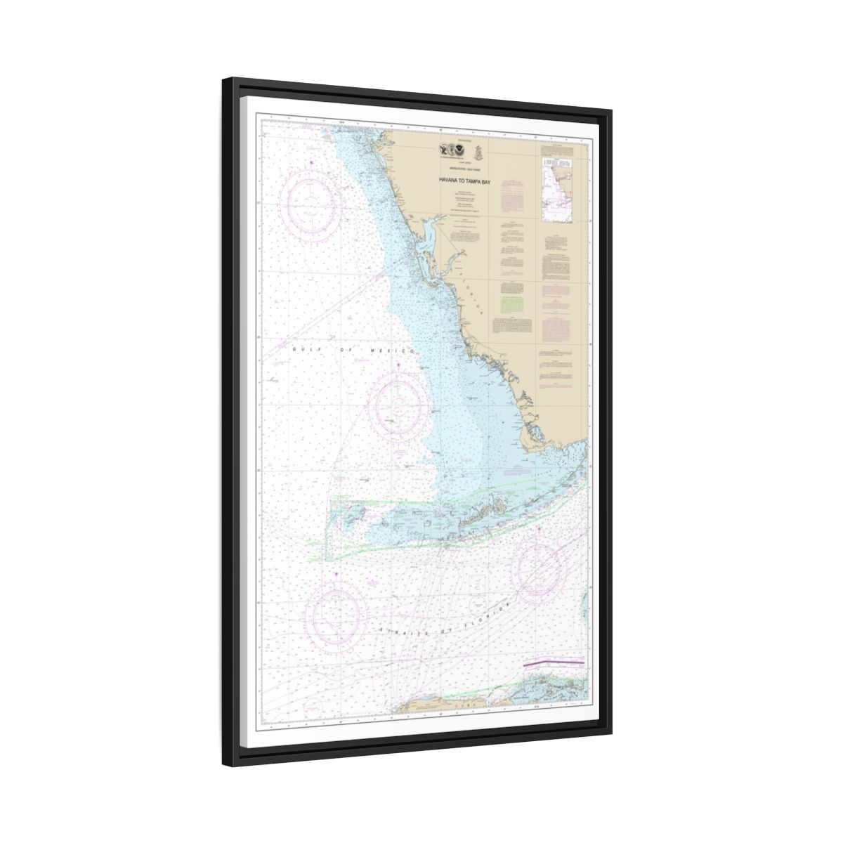 Chart 4148 Havana to Tampa Bay - NOAA Nautical Chart Floating Frame Canvas | 20" x 30" | 24" x 36" | 32" x 48" - Black side