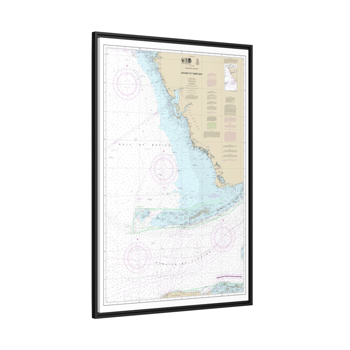Chart 4148 Havana to Tampa Bay - NOAA Nautical Chart Floating Frame Canvas | 20" x 30" | 24" x 36" | 32" x 48" - Black side