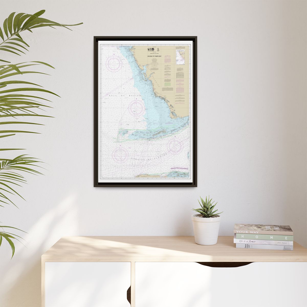Chart 4148 Havana to Tampa Bay - NOAA Nautical Chart Floating Frame Canvas | 20" x 30" | 24" x 36" | 32" x 48" - Espresso context-1