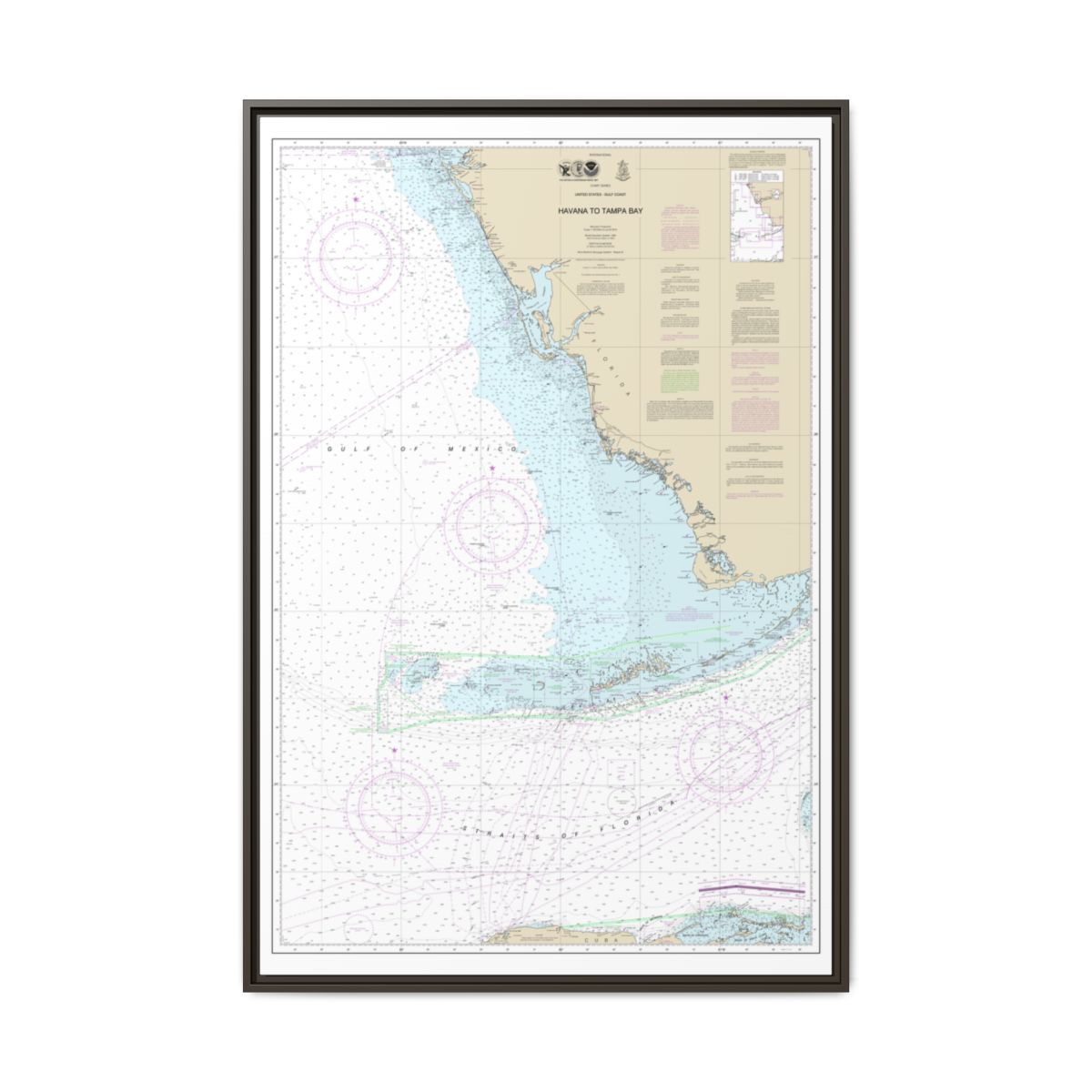 Chart 4148 Havana to Tampa Bay - NOAA Nautical Chart Floating Frame Canvas | 20" x 30" | 24" x 36" | 32" x 48" - Espresso front