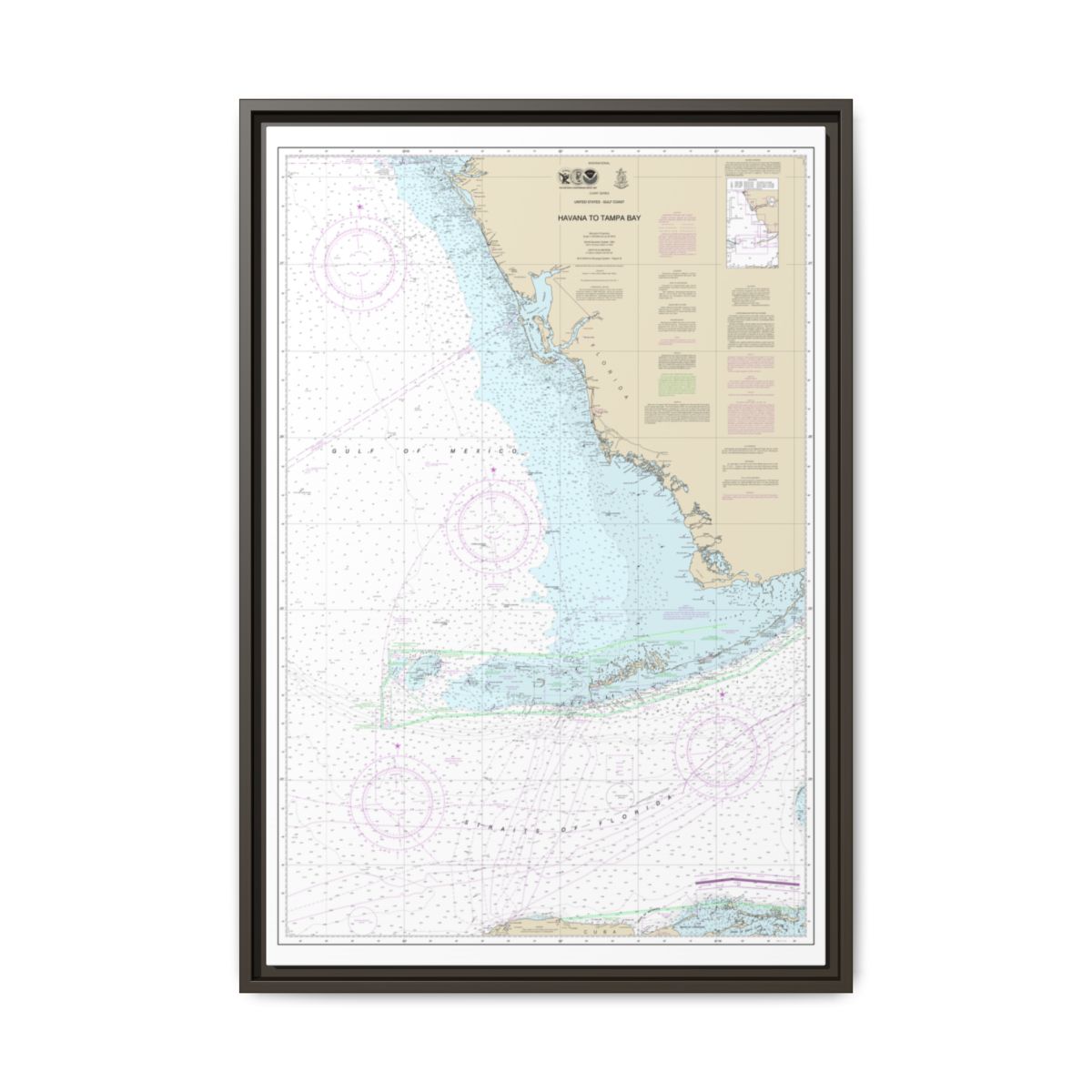 Chart 4148 Havana to Tampa Bay - NOAA Nautical Chart Floating Frame Canvas | 20" x 30" | 24" x 36" | 32" x 48" - Espresso front