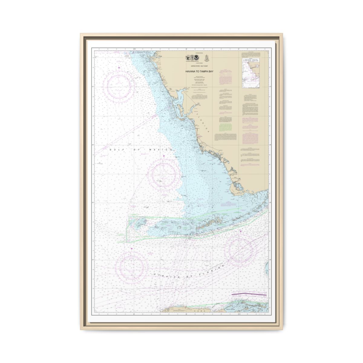 Chart 4148 Havana to Tampa Bay - NOAA Nautical Chart Floating Frame Canvas | 20" x 30" | 24" x 36" | 32" x 48" - Natural front