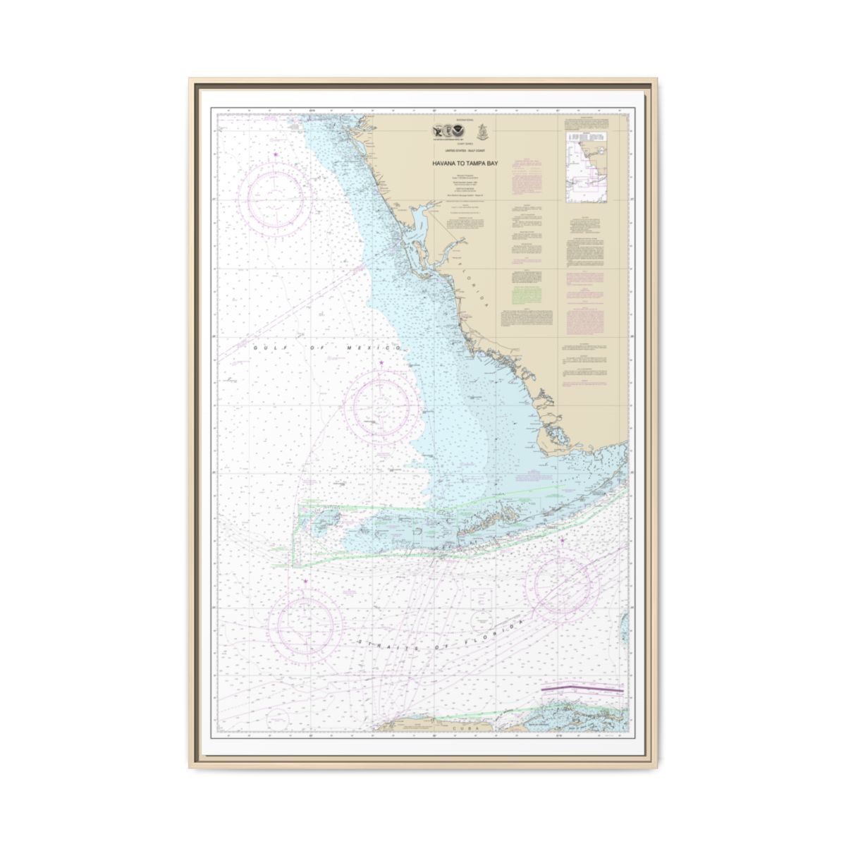 Chart 4148 Havana to Tampa Bay - NOAA Nautical Chart Floating Frame Canvas | 20" x 30" | 24" x 36" | 32" x 48" - Natural front