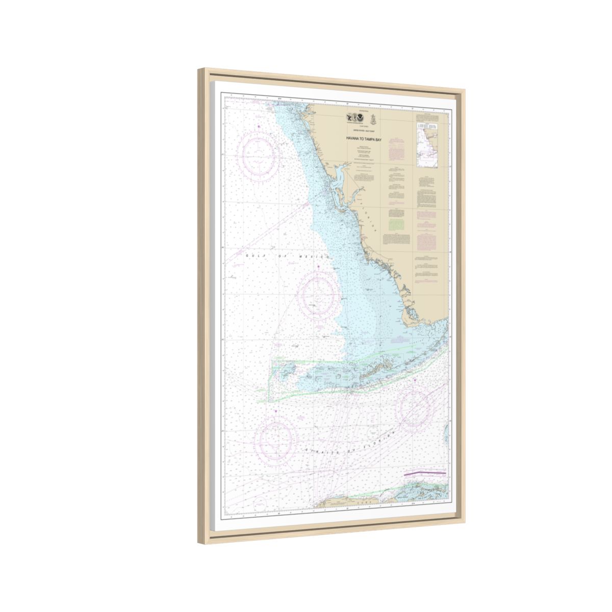 Chart 4148 Havana to Tampa Bay - NOAA Nautical Chart Floating Frame Canvas | 20" x 30" | 24" x 36" | 32" x 48" - Natural side