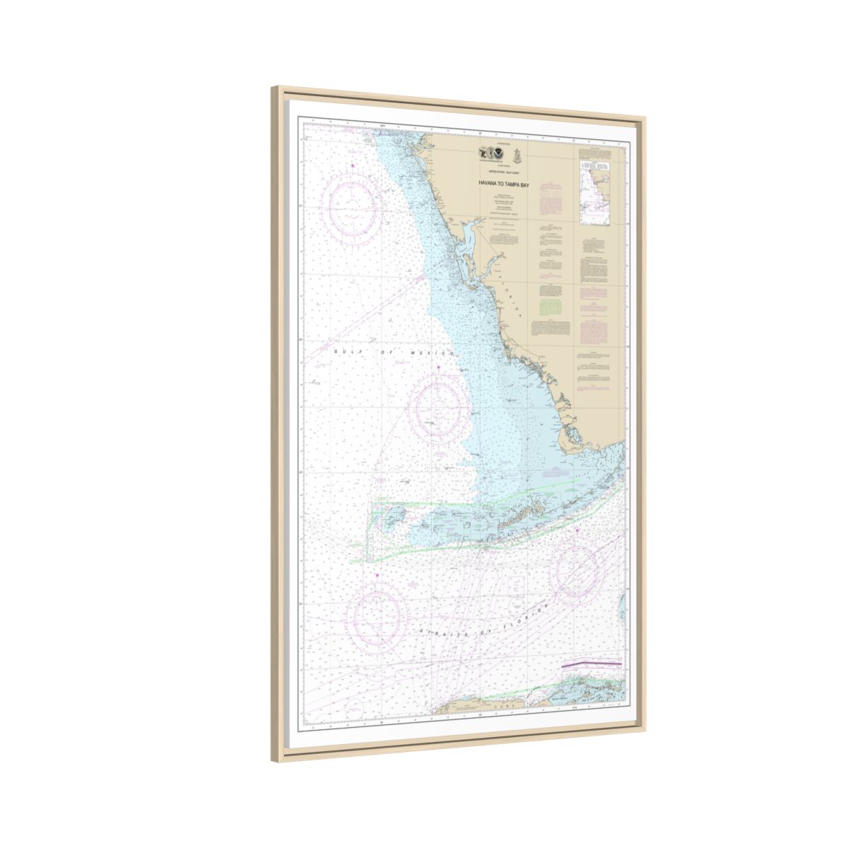 Chart 4148 Havana to Tampa Bay - NOAA Nautical Chart Floating Frame Canvas | 20" x 30" | 24" x 36" | 32" x 48" - Natural side