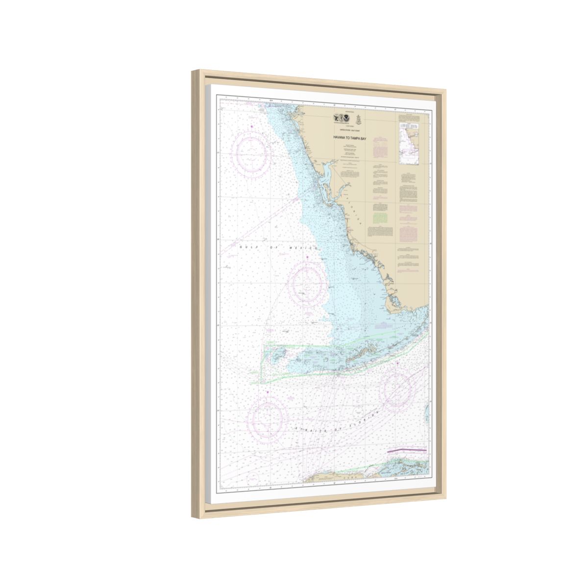 Chart 4148 Havana to Tampa Bay - NOAA Nautical Chart Floating Frame Canvas | 20" x 30" | 24" x 36" | 32" x 48" - Natural side