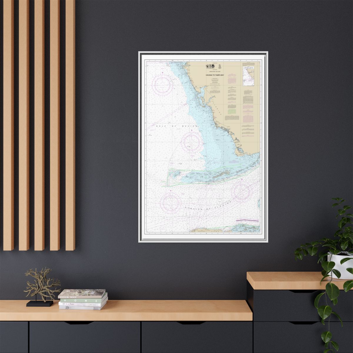 Chart 4148 Havana to Tampa Bay - NOAA Nautical Chart Floating Frame Canvas | 20" x 30" | 24" x 36" | 32" x 48" - White context-2