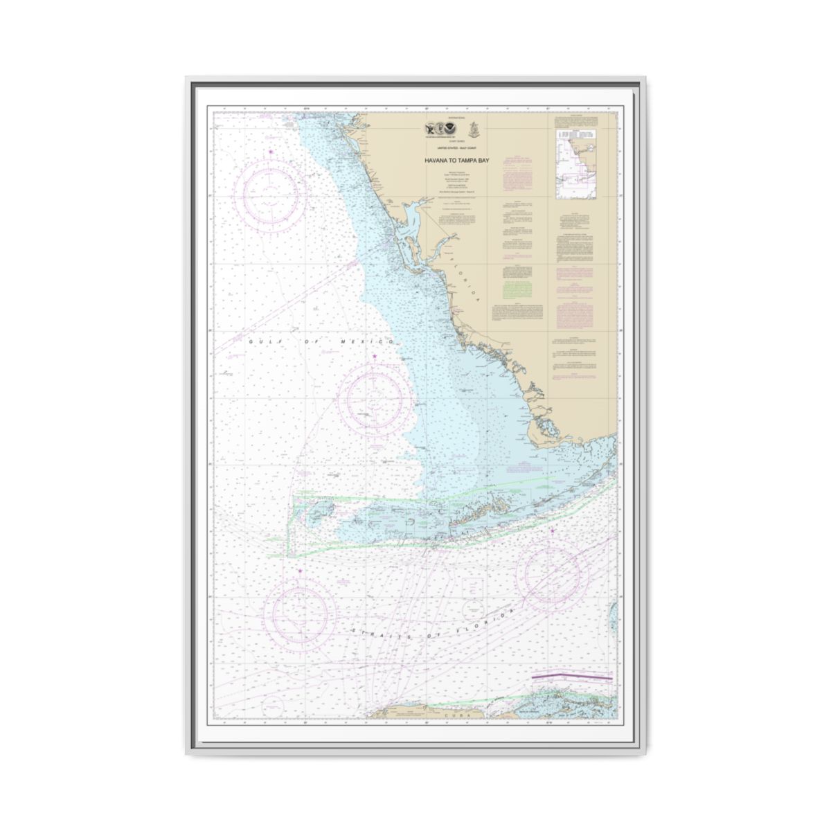 Chart 4148 Havana to Tampa Bay - NOAA Nautical Chart Floating Frame Canvas | 20" x 30" | 24" x 36" | 32" x 48" - White front