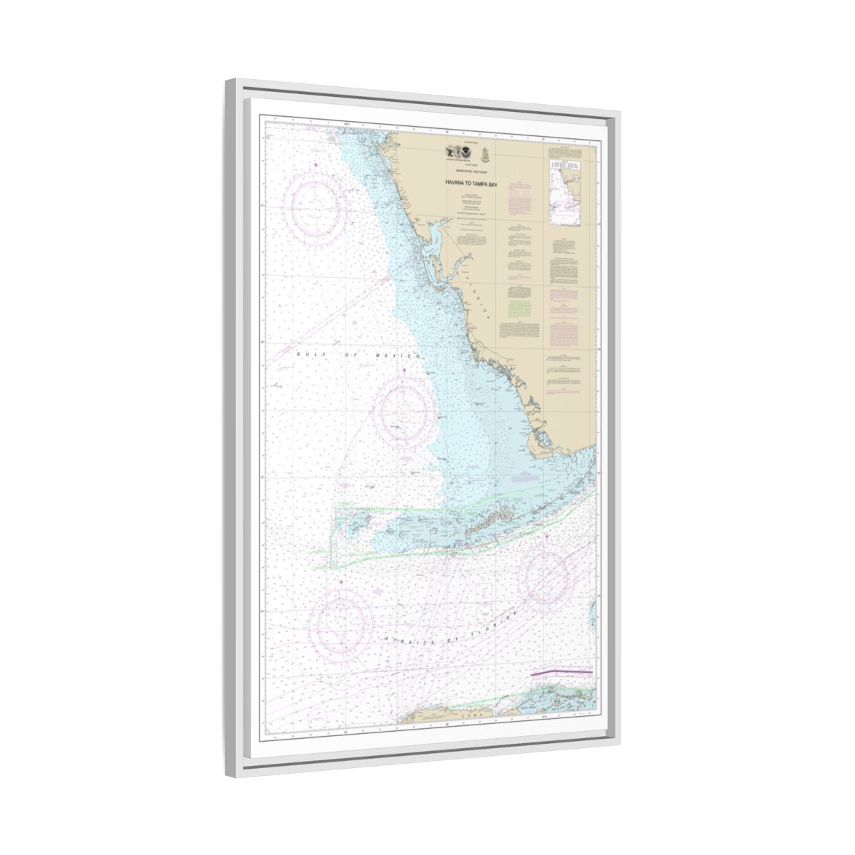 Chart 4148 Havana to Tampa Bay - NOAA Nautical Chart Floating Frame Canvas | 20" x 30" | 24" x 36" | 32" x 48" - White side