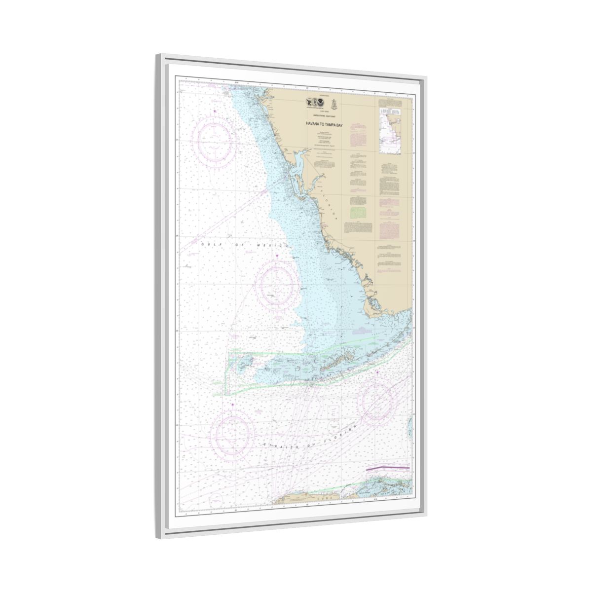 Chart 4148 Havana to Tampa Bay - NOAA Nautical Chart Floating Frame Canvas | 20" x 30" | 24" x 36" | 32" x 48" - White side