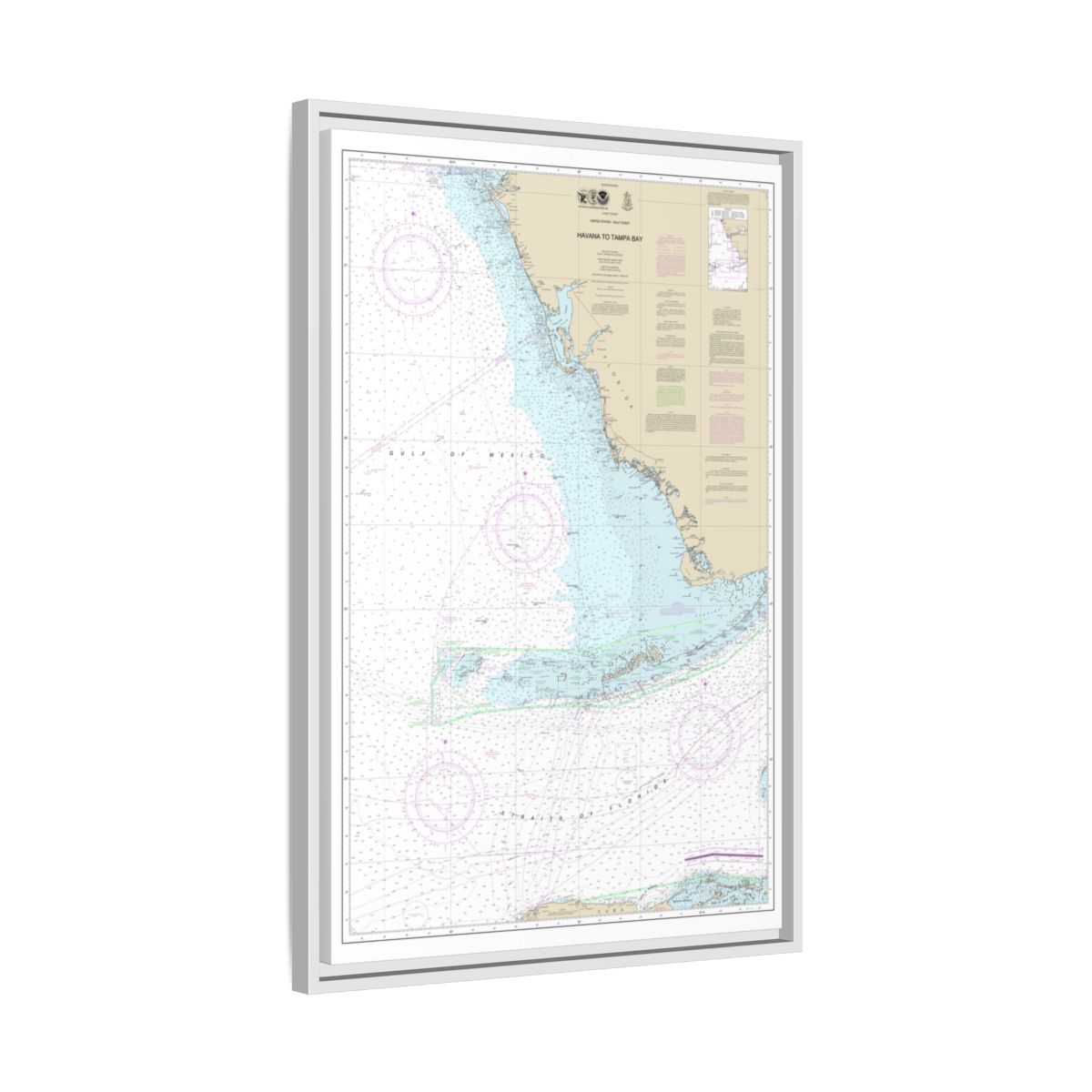 Chart 4148 Havana to Tampa Bay - NOAA Nautical Chart Floating Frame Canvas | 20" x 30" | 24" x 36" | 32" x 48" - White side