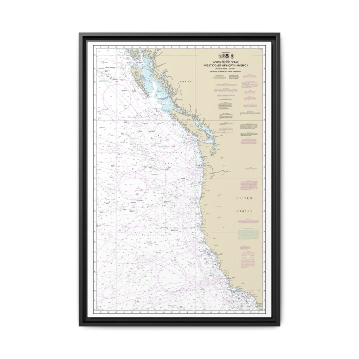 Chart 501 North Pacific Ocean West Coast Of North America Mexican Border To Dixon Entrance - NOAA Nautical Chart Floating Frame Canvas | 20" x 30" | 24" x 36" | 32" x 48" - Black front